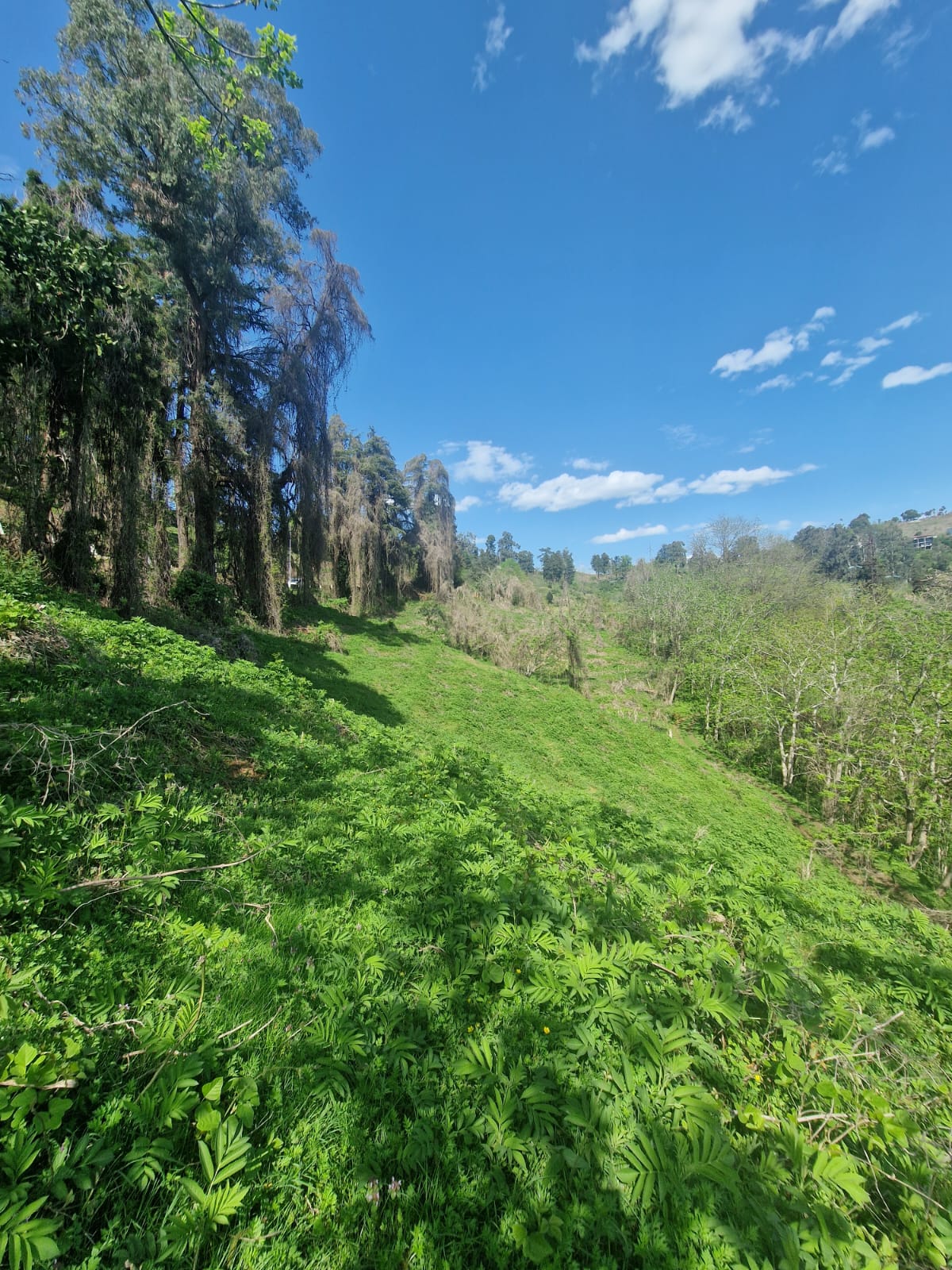 Raw land for sale with amazing view buknari