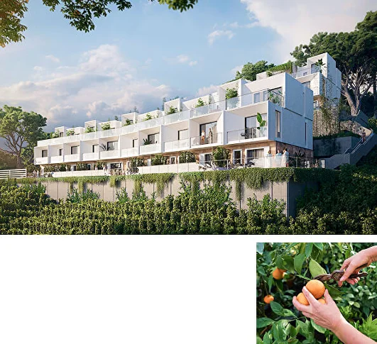 Icon for Home Townhouses