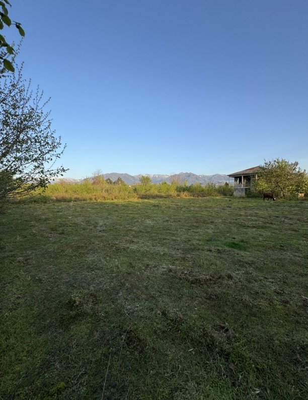 6500m land for sale kobuleti